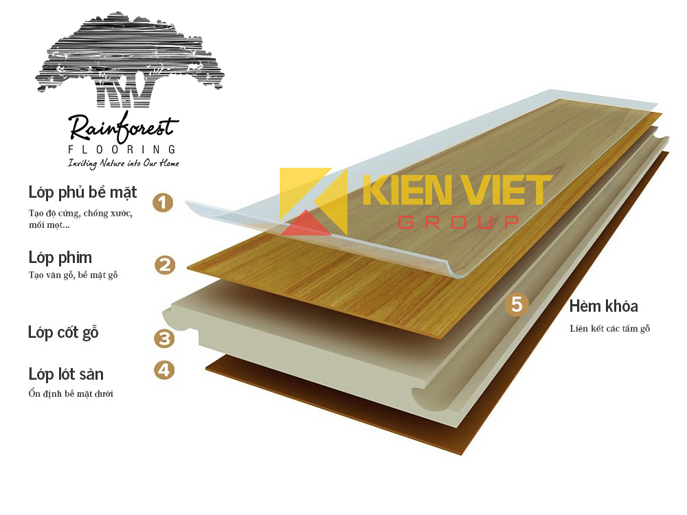 cấu tạo sàn gỗ công nghiệp RainForest